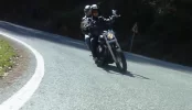 P1130656.webp