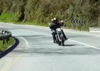 P1130658.webp