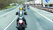 P1130675.webp