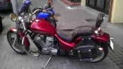 shadow600.webp