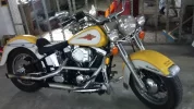 DSC00184.webp
