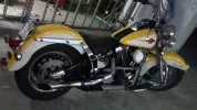 DSC00187.webp