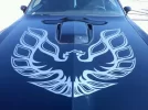 IMG-20120301-WA0002.webp