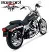 Bassani.webp
