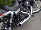 Bassani1.webp