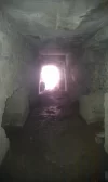 reducida6.webp