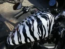 tks%u00252Bzebra%2Ba.webp