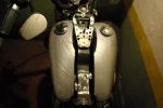 IMGP6460.webp