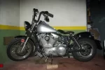 IMGP6483.webp