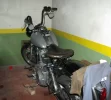 IMGP6474.webp