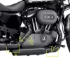COLECTORES HARLEY.webp