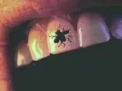 FGHDRTY.webp