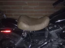 31032012315.webp