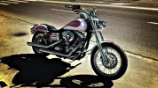 Dyna1.webp