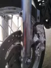 19022012502.webp