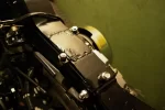 IMGP6519.webp