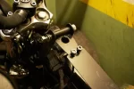 IMGP6520.webp