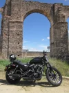 Negrita 012.webp