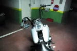 IMGP6538.webp