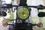 img3397h.webp