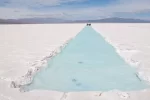 SALAR 3.webp