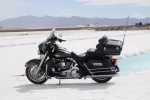 SALAR.webp