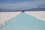 SALAR 2.webp