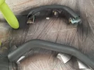 DSCF2979.webp