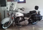 IMG020.webp