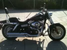 Fat Bob 2.webp Fat Bob 2.webp