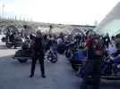 IMGP60771.webp