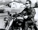 terminator2.webp