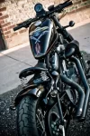 chunkybufunky-6662-2.webp