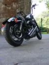 suge_nightster-6621-1.webp