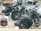 kedada_foro_harley.webp