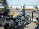 100_0238.webp