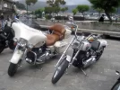 muros_6.webp