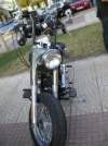 IMGP1459.webp