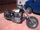 mi harley.webp