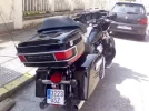 Harley 6.webp