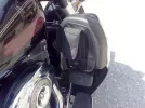 Harley 3.webp