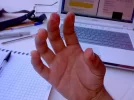 29032008136as8.webp