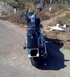 FatBobBack.webp