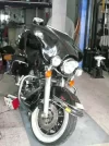 Harley6.webp