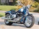 0810_crup_03_z+2009_harley_davidson_cvo_motorcycles+2009_cvo_softail_springer.webp