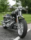 2008_CVO_Springer_beauty2.webp