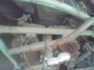 Cuenta 0523.webp