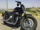 20062010160.webp