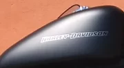 DSC00019.webp