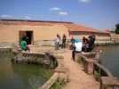 DSCN2380.webp